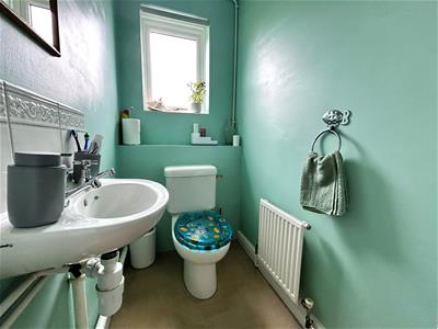 Picture 8